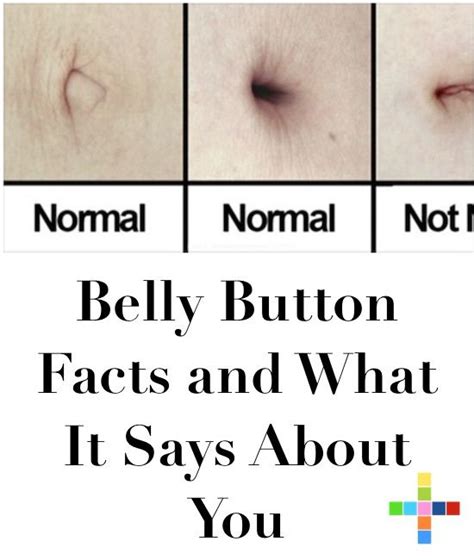 belly button play|12 Facts About Belly Buttons .